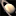 NASA APOD Archive icon
