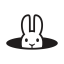 Research Rabbit icon